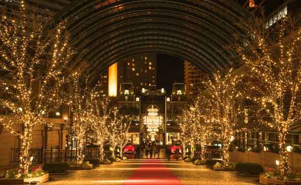 恵比寿ガーデンプレイスでのクリスマスライトアップ画像