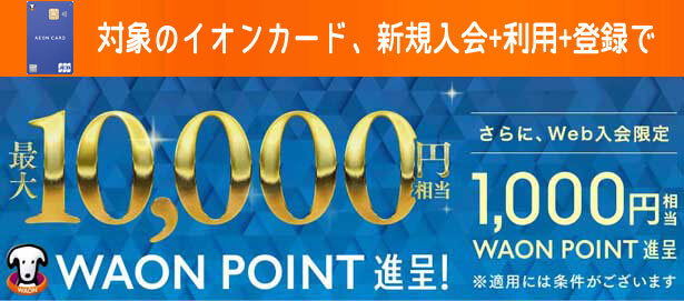 イオンカード、新規入会+利用+登録で最大11,000円相当のWAON POINTがもらえる入会キャンペーン開催中